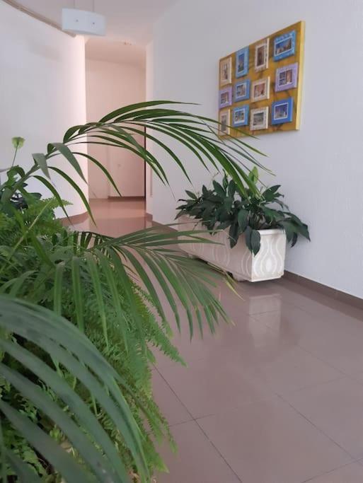 Apartamento Batalha - Quarteira, Algarve, Portugal Εξωτερικό φωτογραφία